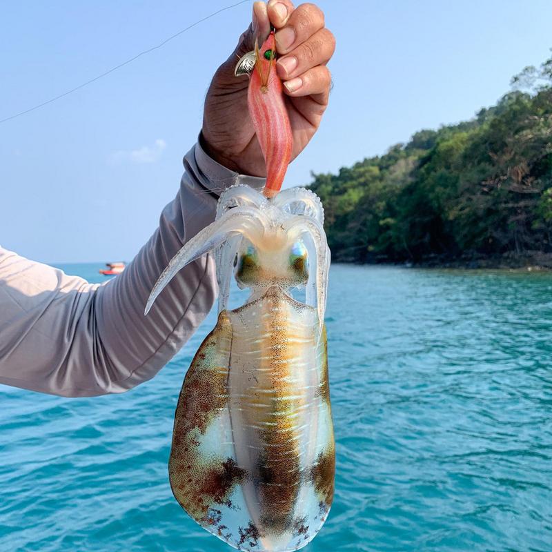เหยื่อตกปลาหมึกกระดองเรืองแสงส - Fishing Hook Jig บทวิจารณ์และราคา