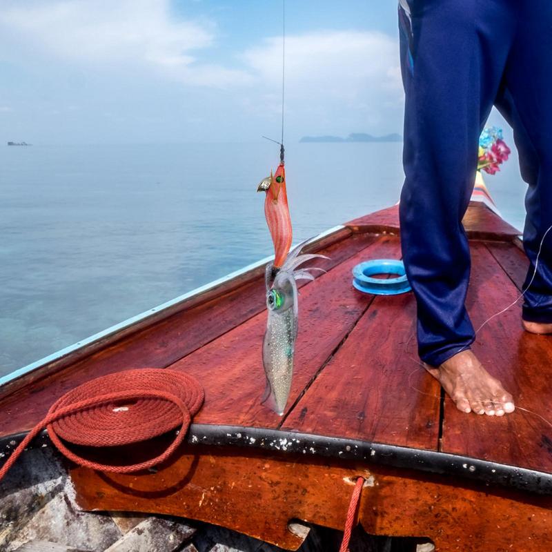 เหยื่อตกปลาหมึกกระดองเรืองแสงส - Fishing Hook Jig บทวิจารณ์และราคา